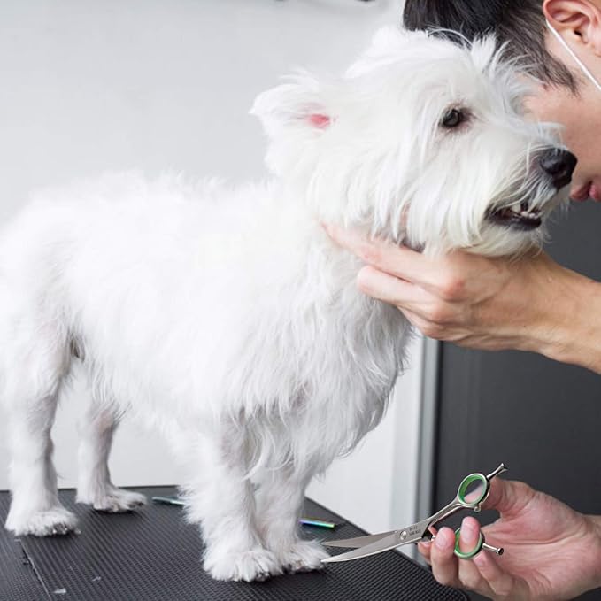 PURPLEBIRD 7 Inch Straight, Downward Curved Dog Grooming Scissors Set Professional Pet Cutting, Thinning Texturizing Shears Safety Blunt Tip Trimming Shearing Dog Cat Japanese Stainless Steel Silver