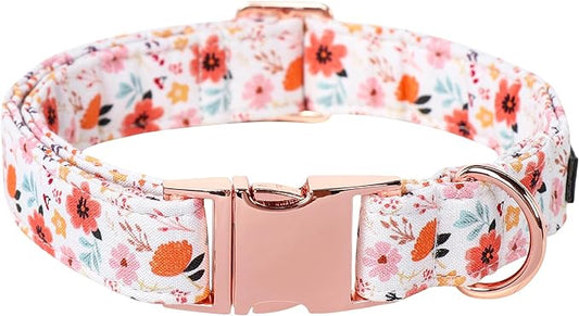 Lionet Paws Dog Collar, Adjustable Cute Collar with Metal Buckle for Male Female Puppies Gift,Summer Flower, XS, Neck 8-12 inches
