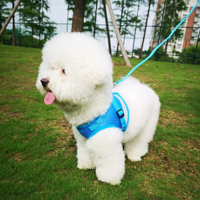 FEimaX Dog Harness and Leash Set for Walking, Soft Mesh Adjustable Easy Control Lightweight Cat Vest Harnesses with Reflective Strips, Escape Proof Small Dogs Cats Vests (Azure, X-Large)