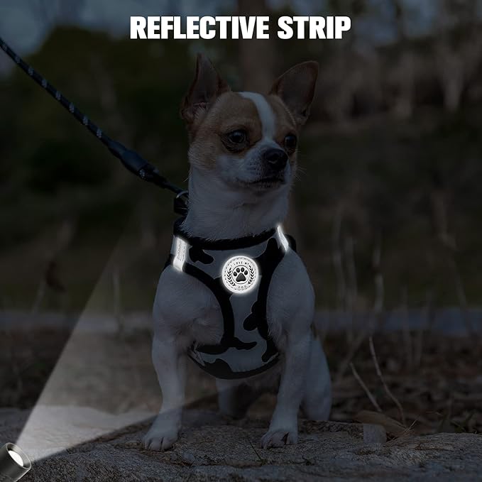 BEAUTYZOO Step in Dog Harness and Leash Set, Floral Pattern Reflective Dog Harness No Pull No Choke Puppy Harness for XXS XS S Dogs Cats, Soft Padded Mesh Vest Harnesses for Girl and Boy Pets