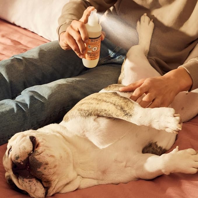 Mrs. Meyer's Clean Day Dog Care Kit, Includes 3in1 Dog Shampoo - White Peach, Dog Deodorizing Spritz - White Peach and Pet Stain & Odor Fighter - Coconut Leaf