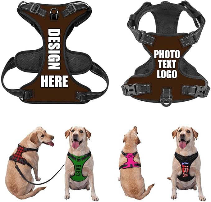 Personalized Pet Harnesses with Name and Phone Number, Heavy Duty Dog Harness with Leash Set Customization, Customizable No Pressure Pet Vest with You Own Design, Darkbrown, XL