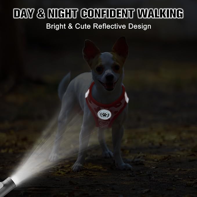 BEAUTYZOO Step in Dog Harness and Leash Set,Reflective Dog Harness No Pull No Choke Puppy Harness for Small Medium Large Dogs Cats,Soft Padded Mesh Vest Harnesses for Girl and Boy Pets, Valentine XS