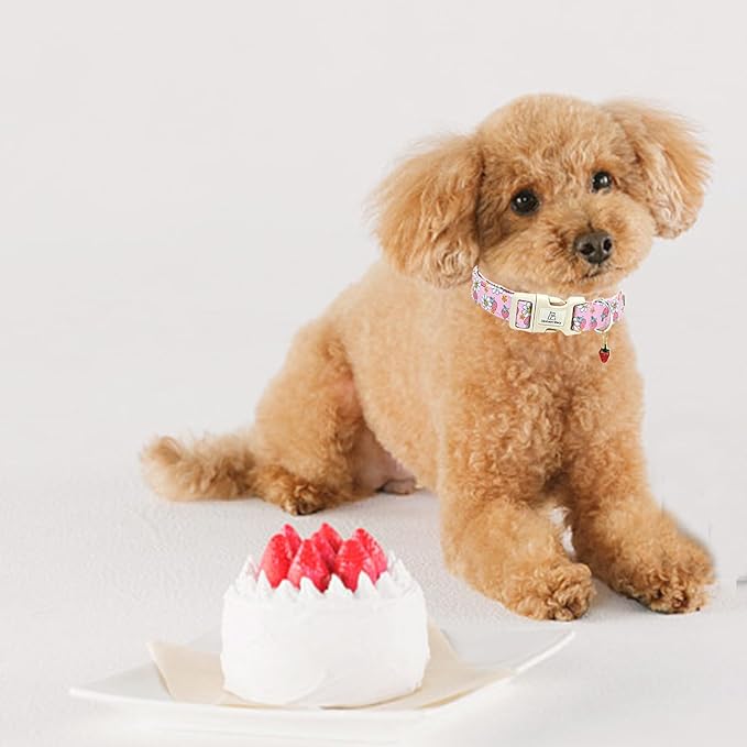 Lionheart glory Dog Collar Strawberries Print Pink Dog Collars Girl Spring Summer Cute Collar Pet Gift Durable Adjustable Dog Collar for Small Dogs