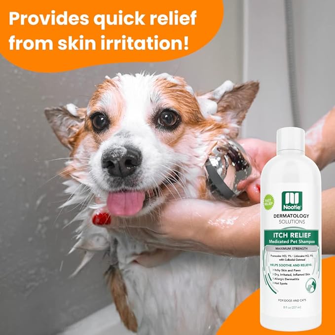 Nootie Itch Relief Shampoo for Dogs and Cats, Relieves Itchy Skin Medicated Pet Shampoo, Sold in over 10,000 Vet Clinics and Pet Stores Worldwide, 8 oz