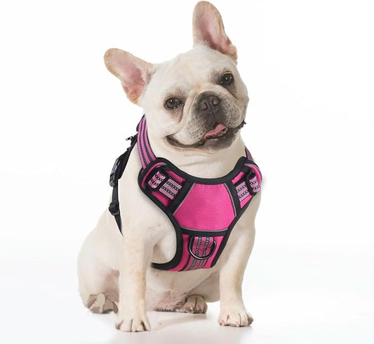 BUMBIN Dog Harness for Large Dogs, No Pull Adjustable No Choke Pet Vest with Dog Leash Fit Smart Reflective Pet Walking Harness for Training Easy Control Soft Handle Rose Red S