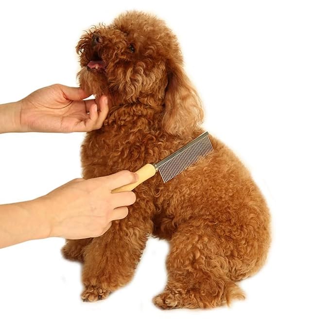 Silver Dog and Cat Combs For Grooming Long Haired Cats and Dogs - Pet Dog Cat Comb Stainless Steel Pin Teeth Wooden Handle Grooming Fur Hair Brush - Comb Removes and Prevents Matted Fur，Grooming