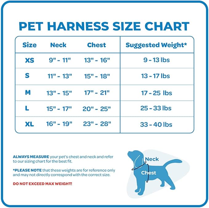Best Pet Supplies Voyager Adjustable Dog Harness with Reflective Stripes for Walking, Jogging, Heavy-Duty Full Body No Pull Vest with Leash D-Ring, Breathable All-Weather - Harness (Turquoise), XS