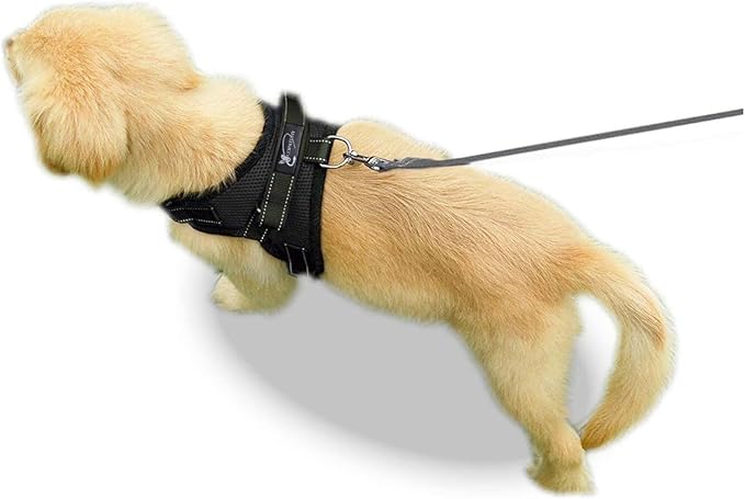 No Pull Reflective Adjustable Dog Harness with Handle- Comfortable Soft All Weather Mesh, Easy On Puppy Harness for Small Medium and Large Dogs (Black) Small