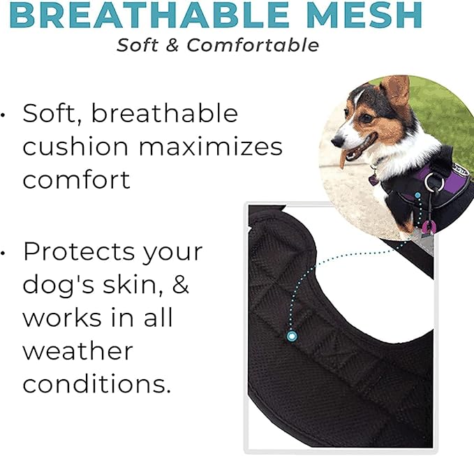 LUXE Joyride Harness for Dogs, No-Pull Pet Harness, Made in The USA, 3 Upgraded Side Rings, Adjustable Pet Vest, Easy On-Off and Improved Control Handle, Training, Walking, Running Green