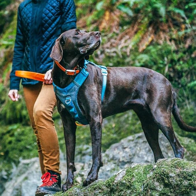 Kurgo Journey Air Dog Harness, Vest Harnesses for Dogs, Pet Hiking Harness for Running & Walking, Reflective, Padded, Includes Control Handle, No Pull Front Clip (Black, Large)