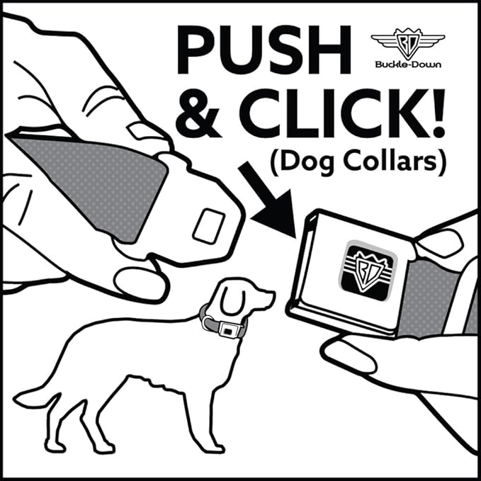 Buckle-Down Seatbelt Buckle Dog Collar - Dug 3-Poses/SQUIRREL! Brown/Yellow/White - 1" Wide - Fits 11-17" Neck - Medium