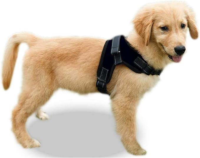 No Pull Reflective Adjustable Dog Harness With Handle- Comfortable Soft All Weather Mesh, Easy On Puppy Harness For Small Medium and Large Dogs (Black) X-Large