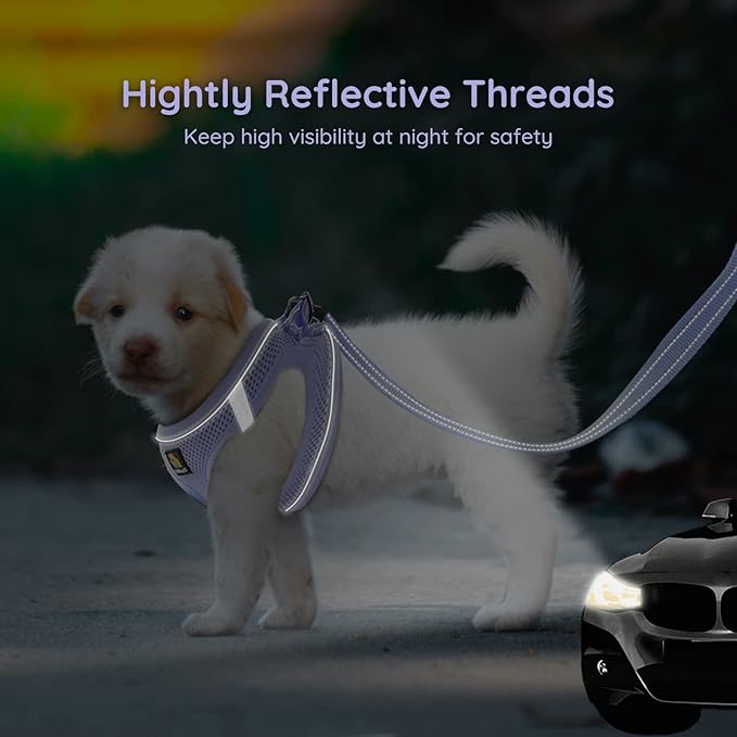 BELLA & PAL Puppy Harness with Leash Set, Dog Harness for Small Dogs No Pull, Dog Leash for Small Dogs, Step in Harness for Extra Small Dogs, Purple Lavender Harness, M
