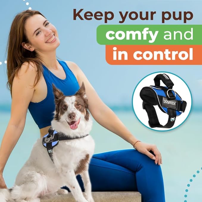 Joyride Harness 2.0 - The Original Side Ring No Pull Dog Harness - No Choke, Escape Proof, Reflective, 3 Leash Clips, Quick Fit Pet Vest - Easy Walks & Training - for Small, Medium & Large Dogs