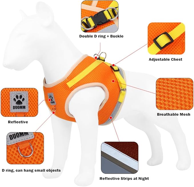 leconpet Dog Harness and Leash Set, Reflective Step in Harness Vest Set-Hook and Loop Fasteners and Buckle Design Combined with Double D Ring on The Back and Chest Ring (Purple, M)