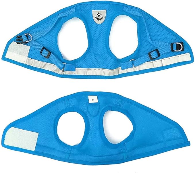 FEimaX Dog Harness and Leash Set for Walking, Soft Mesh Adjustable Easy Control Lightweight Cat Vest Harnesses with Reflective Strips, Escape Proof Small Dogs Cats Vests (Azure, X-Large)