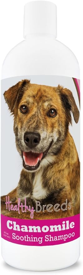 Healthy Breeds Plott Chamomile Soothing Dog Shampoo 8 oz