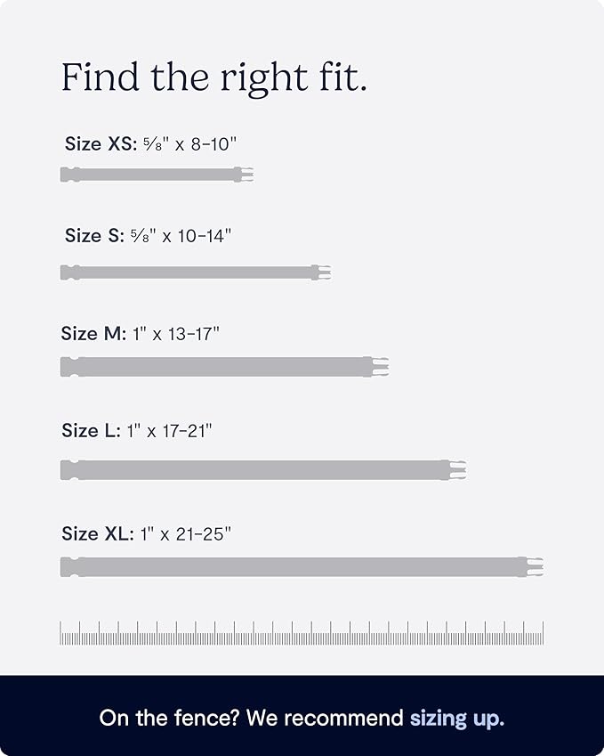 FABLE Signature Collar - Lightweight, Waterproof, & Durable Dog Collar - Coated Webbing Collar with Aluminum Buckle - Easy On/Off & Re-Sizing - Easy to Clean - Light Blue - Extra Small