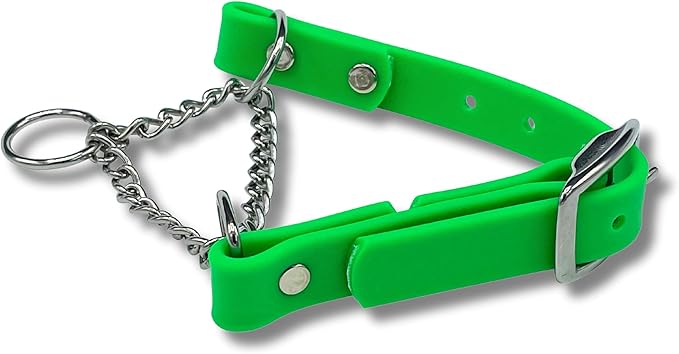 Martingale Collar for Dogs, Biothane, Stainless Steel Hardware, No Pull, Made in The USA, Professional Grade, Small, Green