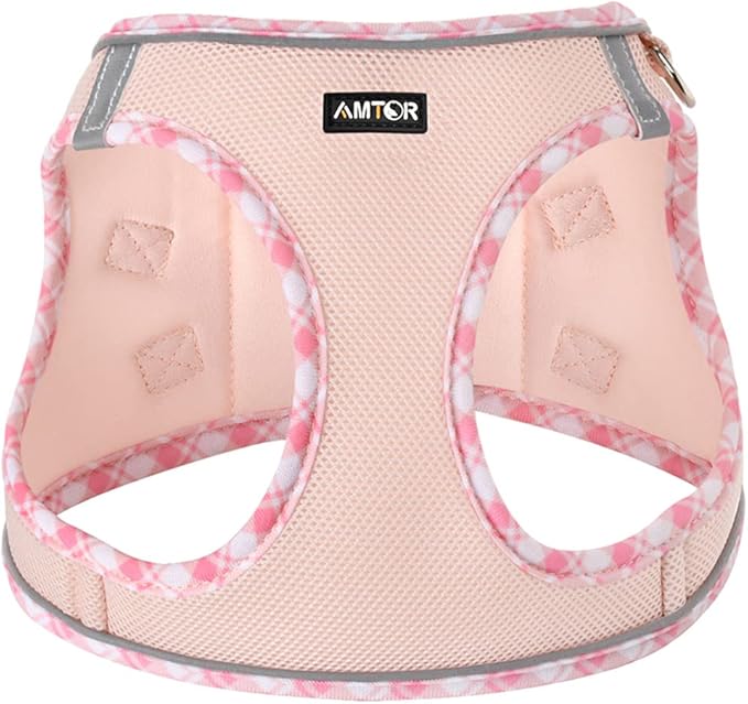 AMTOR Small Dog Harness with Leash Set, No Escape Easy Walk Puppy Harnesses for Training Walking, Step-in Reflective Soft Dogs Vest for XS S Medium Extra-Small Large Sized Dog(Pink,M)