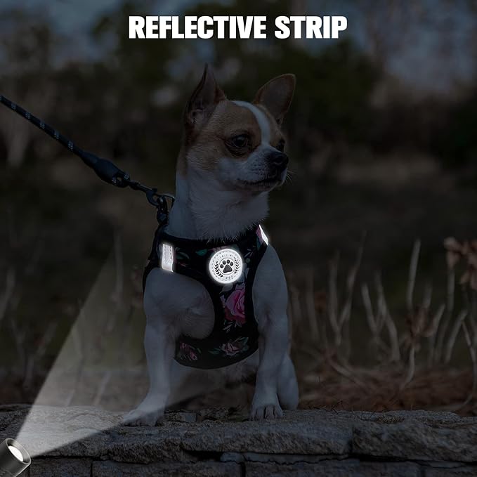 BEAUTYZOO Step in Dog Harness and Leash Set, Floral Pattern Reflective Dog Harness No Pull No Choke Puppy Harness for XXS XS S Dogs Cats, Soft Padded Mesh Vest Harnesses for Girl and Boy Pets