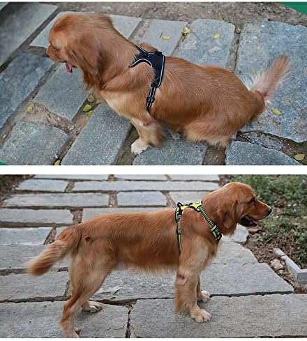 Soft Front Dog Harness .Best Reflective No Pull Harness with Handle and 2 Leash Attachments Red