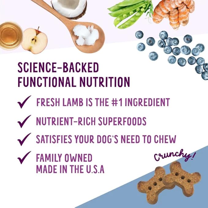 Health Extension Oven-Baked Dog Treats, 6oz (170g), Lamb & Blueberry Recipe – Gluten & Grain-Free, Superfood-Infused, Crunchy Biscuits for Puppy Training (Pack of 2)