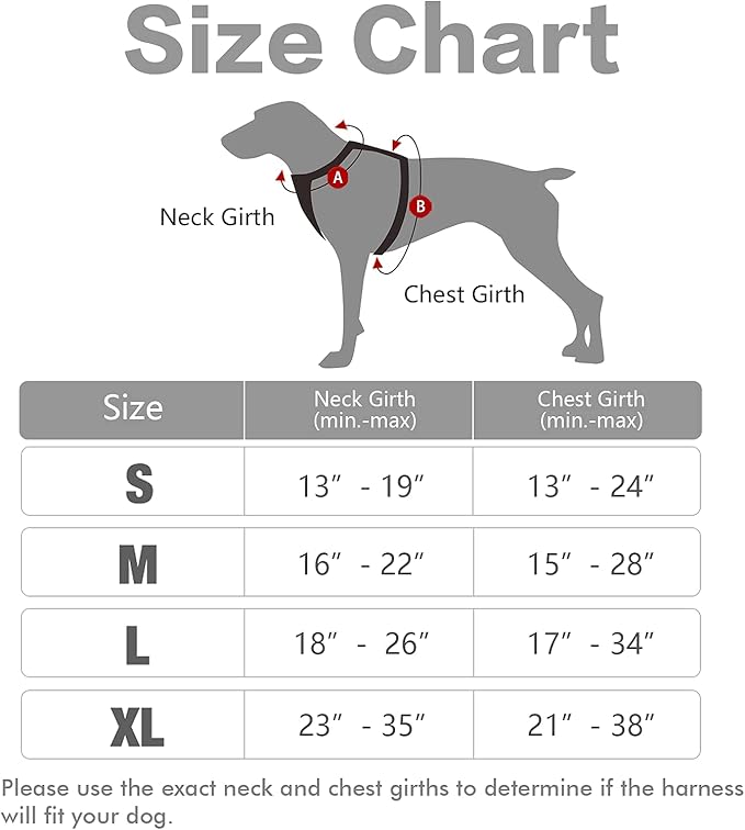 rabbitgoo Dog Harness, No-Pull Pet Harness with 2 Leash Clips, Adjustable Soft Padded Dog Vest, Reflective No-Choke Pet Oxford Vest with Easy Control Handle for Large Dogs, Grey, L