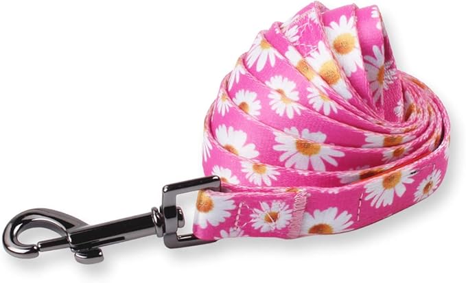QQPETS Dog Harness Leash Set Adjustable Heavy Duty No Pull Halter Harnesses for Small Medium Large Breed Dogs Back Clip Anti-Twist Perfect for Walking (XS(12"-18" Chest Girth), Daisy)