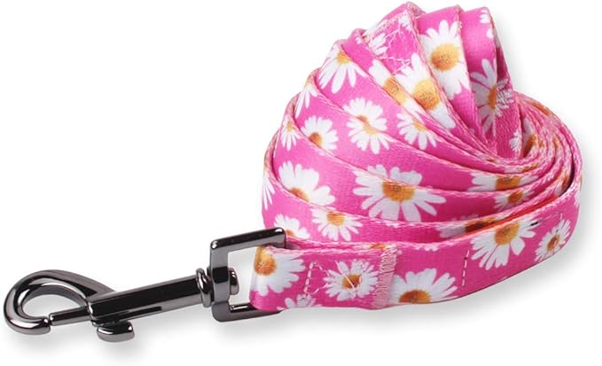 QQPETS Dog Harness Leash Set Adjustable Heavy Duty No Pull Halter Harnesses for Small Medium Large Breed Dogs Back Clip Anti-Twist Perfect for Walking (S(14"-20" Chest Girth), Daisy)