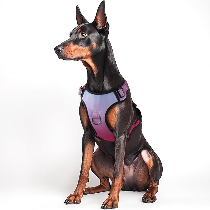 QQPETS No Pull Dog Harness with 2 Leash Clips，Adjustable Soft Padded Dog Vest, Reflective Outdoor Pet Oxford Vest with Easy Control Handle for Small to Large Dogs Walking Training