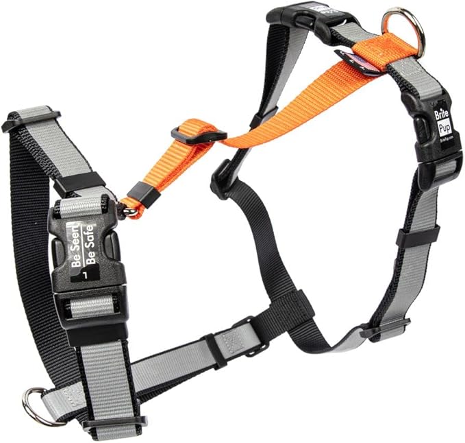 No Pull Harness with Fully Customizable Fitment for XL Dogs - 3M Reflective Heavy Duty Harness for Walking & Training - No Choke Comfortable Collar Design, Made in USA XL-Orange