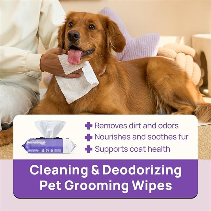 HICC PET Cleaning Deodorizing Wipes for Dogs & Cats, Vet Recommended Nourishes Smoothes Fur Pet Grooming Wipes with Fermented Coconut Oil, Hypoallergenic Dog Wipes for Paws and Butt, Face, Body