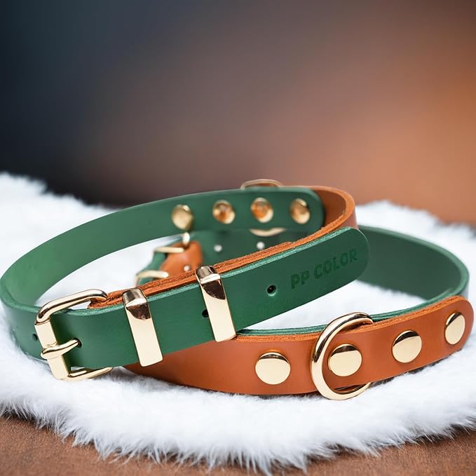 Premium Genuine Leather Dog Collar - Durable 4.5mm Thick, Color-Blocking Design with Rose Gold Hardware, Available in 4 Sizes for Small, Medium and Large Dogs, Green 19-23 in