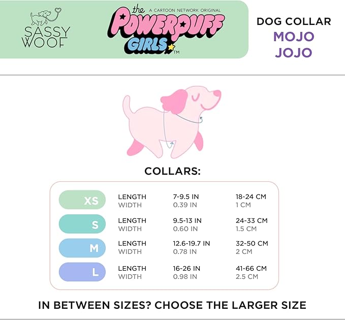 Mojo JoJo™ - S, Dog Collar, Adjustable, Durable, Comfortable and Stylish Pet Accessories for Small Dogs