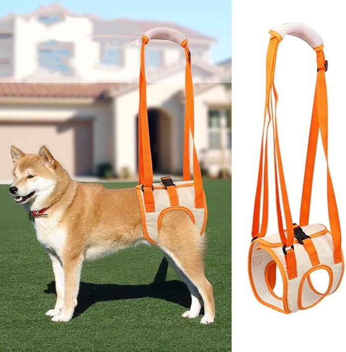 gofidin Pet Auxiliary Belt Lift Support Harness Disabled Dog Walking Belt Dog Hind Leg Support Sling