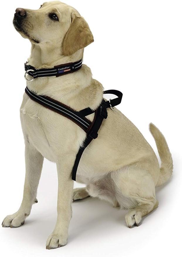 ComfortFlex Sport Harness - American Made No Pull Teacup Dog Harness - Lightweight, Padded, Reflective No Rub Harness for Walking, Running and Control - Petite, Berry