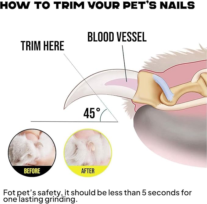 Pet Nail Clipper & Trimmers for Small Medium Large Breed Dog & Cat - Professional Grooming Tool Built-in Safety Guard, Non-Slip Handle and Bonus Nail File & Hair Comb Pet