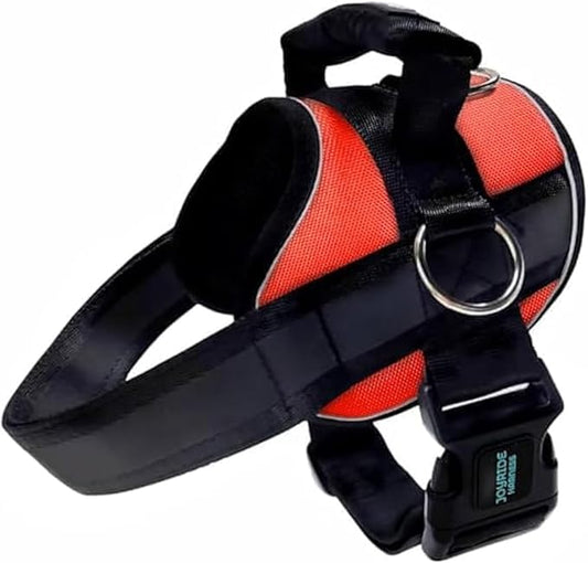 Joyride Harness 2.0 - The Original Side Ring No Pull Dog Harness - No Choke, Escape Proof, Reflective, 3 Leash Clips, Quick Fit Pet Vest - Easy Walks & Training - for Small, Medium & Large Dogs