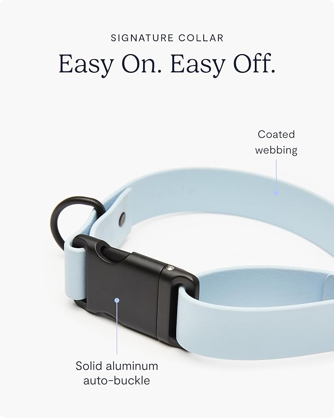 FABLE Signature Collar - Lightweight, Waterproof, & Durable Dog Collar - Coated Webbing Collar with Aluminum Buckle - Easy On/Off & Re-Sizing - Easy to Clean - Light Blue - Extra Large