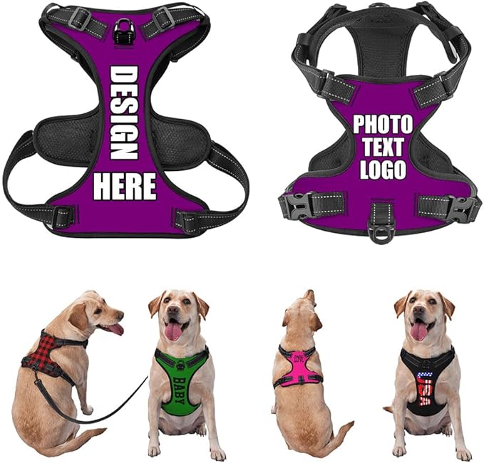 Personalized Pet Harnesses with Name and Phone Number, Heavy Duty Dog Harness with Leash Set Customization, Customizable No Pressure Pet Vest with You Own Design, PurePurple, M