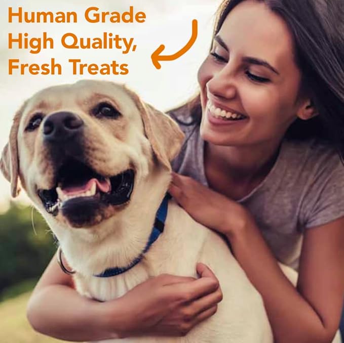 Marcy's Pet Kitchen- All Natural, Crunchy, Pumpkin Biscuit Dog Treats - Homemade - Crunchy Approved- Vegan, Gluten Free, Human Grade Ingredients, Made in The USA, Healthy Pumpkin Dog Treats