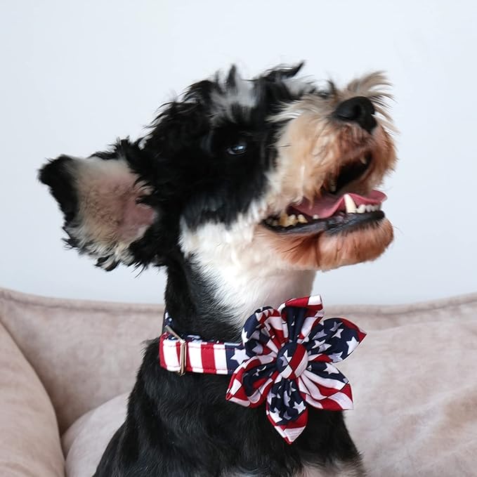 Lionet Paws Patriotic Female Dog Collar with Flower, 4th of July, Soft and Comfortable Adjustable American Flag Collar for Dogs, Medium, Neck 13.5-22 inches