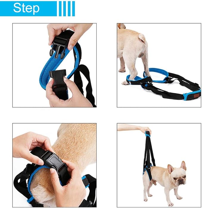 Adjustable Pet Dogs Lift Support Harness Breathable Mesh Padded Sling Straps Canine Support Rehabilitation for Injuries Arthritis Weak hind Legs & Joints, Blue (XL)