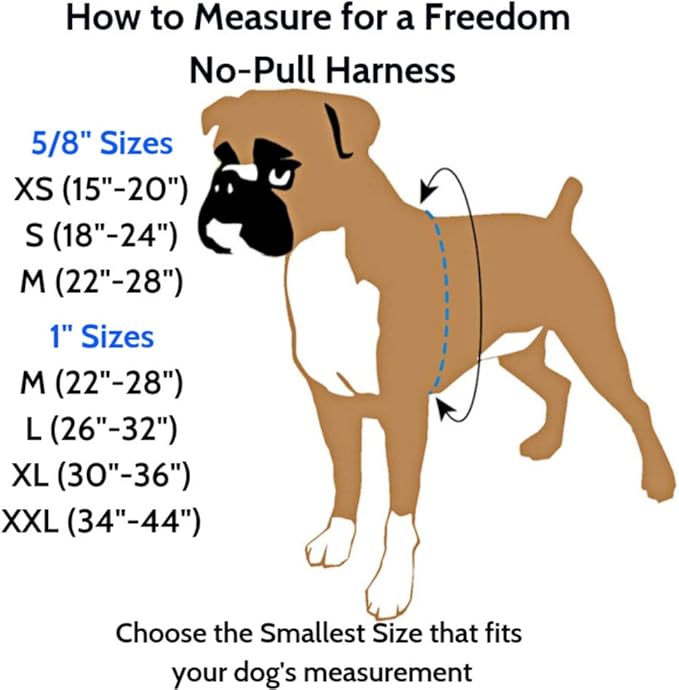 2 Hounds Design Freedom No Pull Dog Harness | Comfortable Control for Easy Walking |Adjustable Dog Harness and Leash Set | Small, Medium & Large Dogs | Made in USA | Solid Colors | 5/8" XS Raspberry