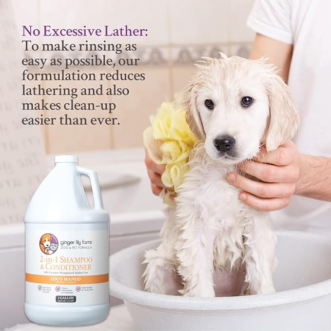 Ginger Lily Farms Dog & Pet Formula 2-in-1 Shampoo & Conditioner, 100% Vegan & Cruelty-Free, Coco Mango, 1 Gallon Refill (128 fl oz)