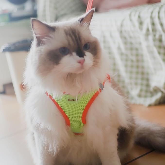 Soft Mesh Dog Harness and Leash Set, No-Chock Step-in Reflective Breathable Lightweight Easy Walk Escape Proof Vest Harnesses with Safety Buckle for Small Medium Dogs, Cats (Purple, XLarge)