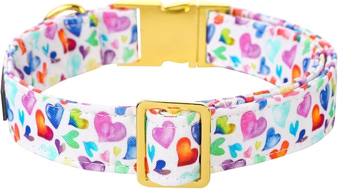 Lionet Paws Valentine Day Dog Collar, Heavy-Duty Cute Colorful Heart Pattern Collar with Metal Buckle Pet Necklace for Large Dog Gift, XLarge, Neck 16-26 inches