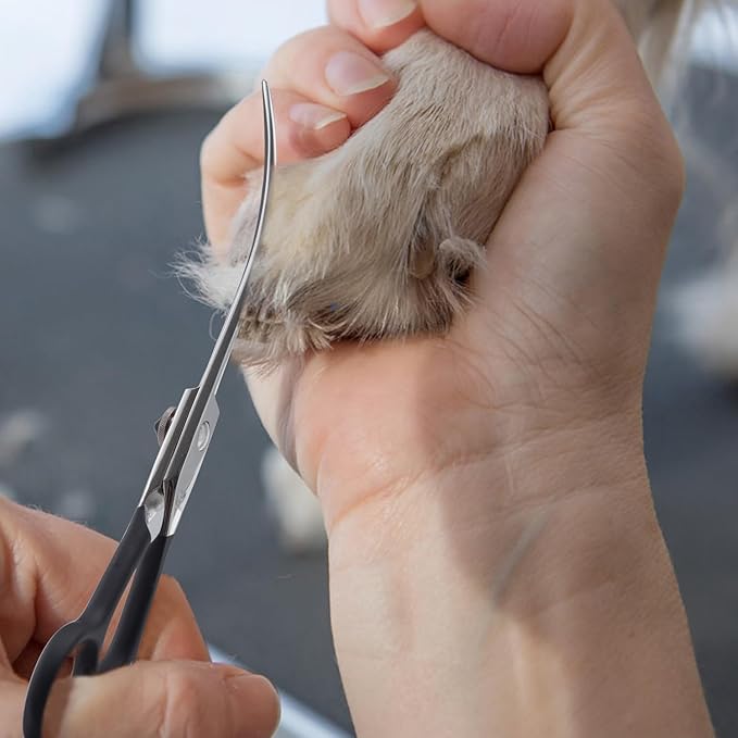 Dream Reach 6" Downward Curved Dog Grooming Scissors for Trimming Face and Paws, Safety Cutting Shears for Pet Dogs and Cats, Professional Pet Grooming Scissors Black